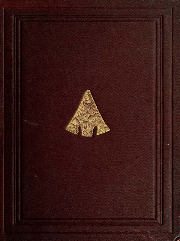 The Ancient Stone Implements, Weapons and Ornaments, of Great Britain Second Edi - John Evans